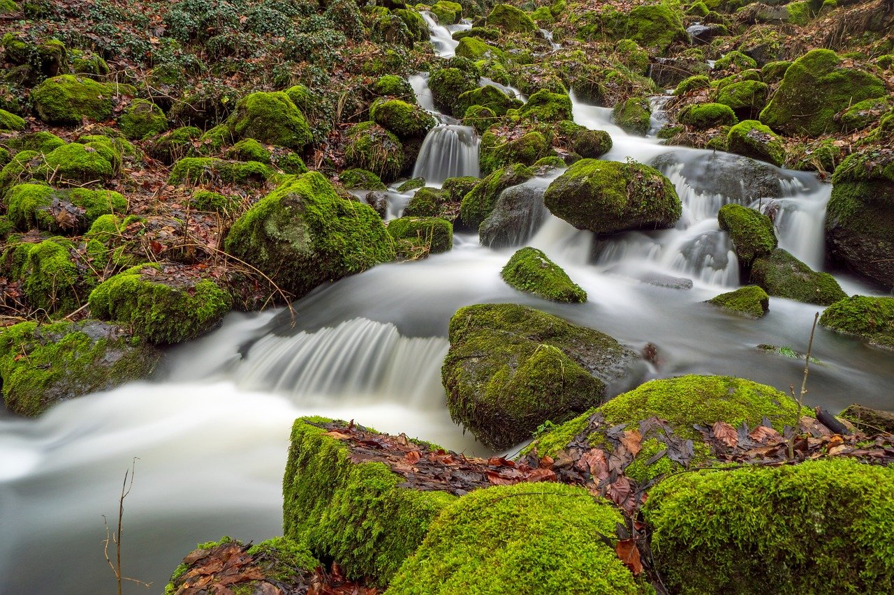 Climat : L’eau, un trésor vital à préserver