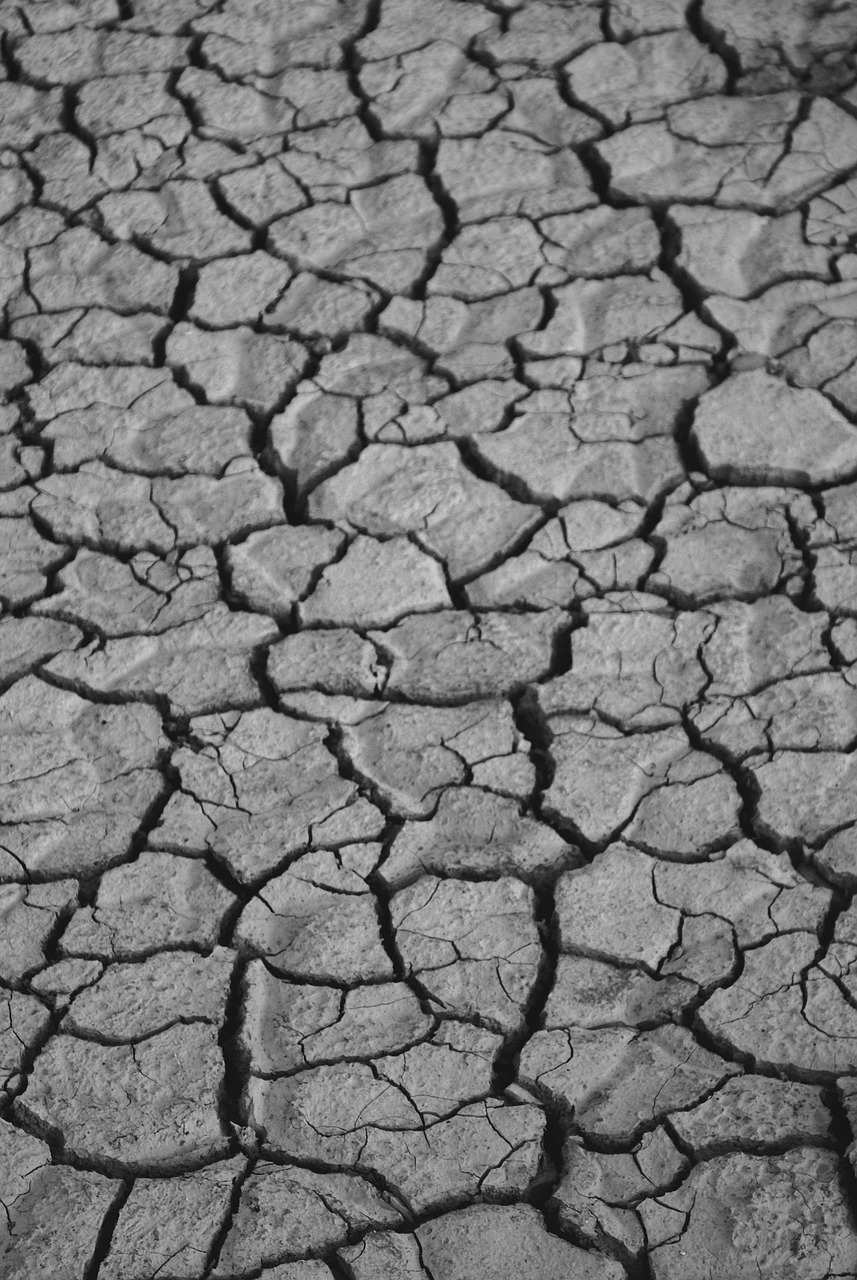 e COP départementale : un tremplin décisif pour intensifier la mobilisation face au défi climatique
