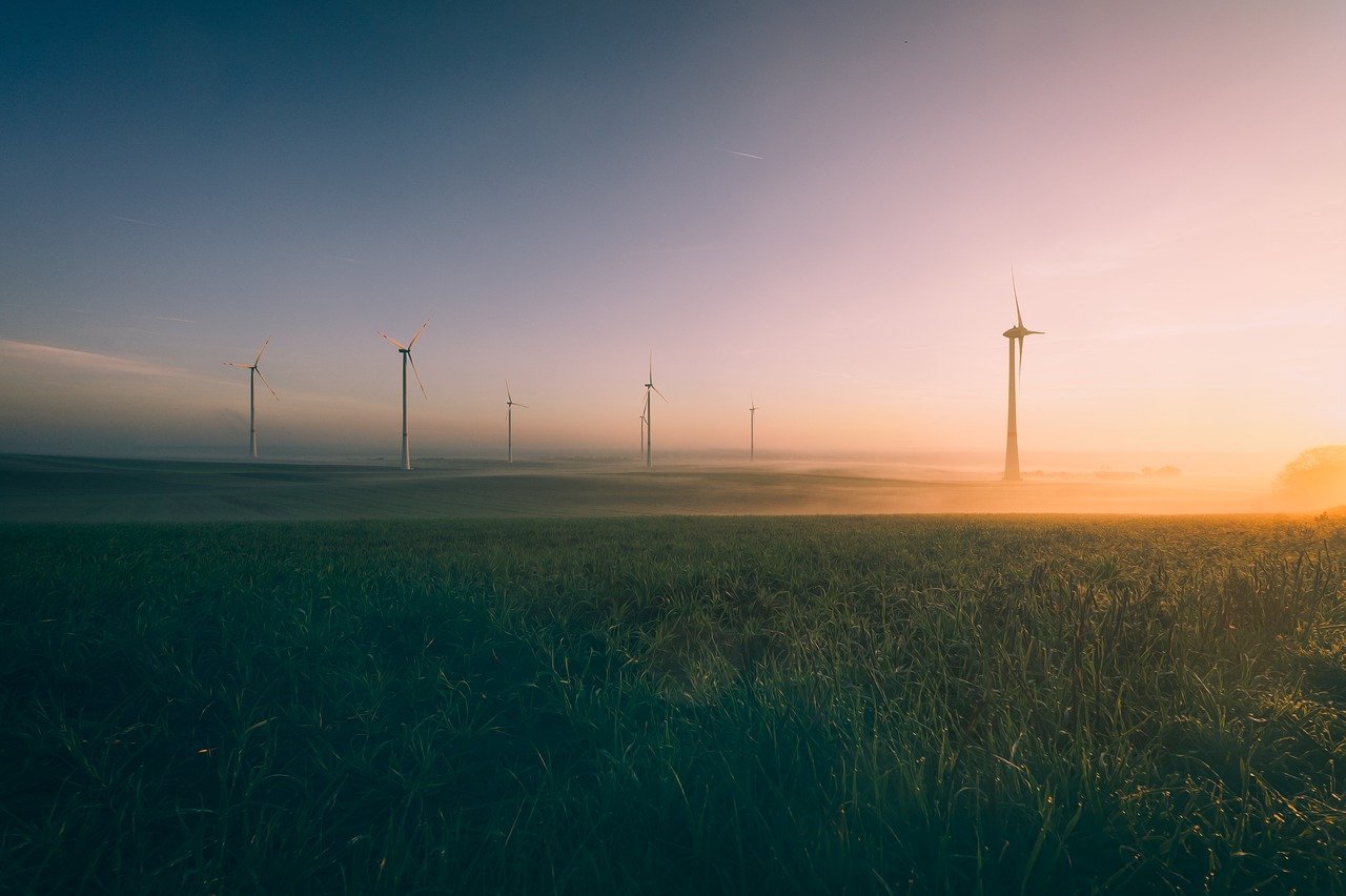Les acteurs de l’environnement et du climat : découvrez les nominés qui brillent par leur engagement !