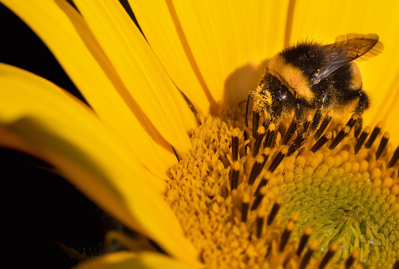 Rectification des informations par Environnement et Changement climatique Canada