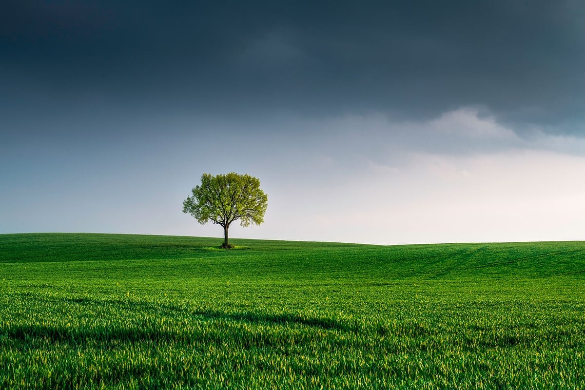 Environnement : 24 raisons d’espérer en 2024