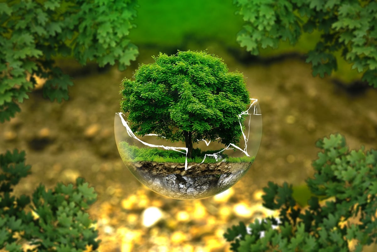 Écopôle : 25 années dédiées à l’éducation environnementale