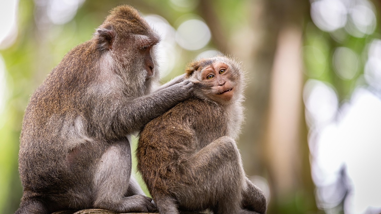 Changement de comportement : 5 stratégies pour améliorer vos habitudes