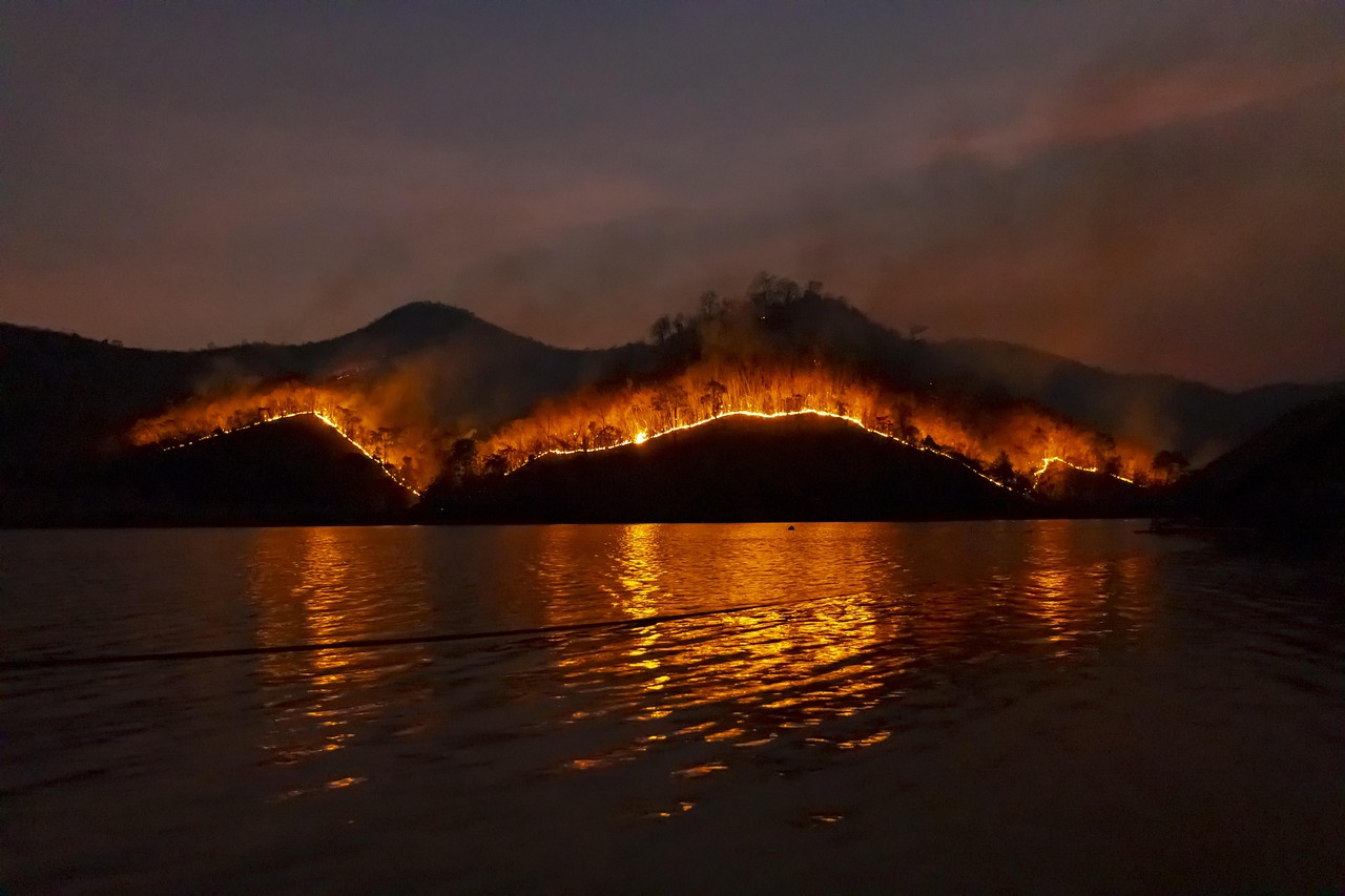 Climat : des chercheurs alertent sur une année exceptionnellement dramatique en incendies