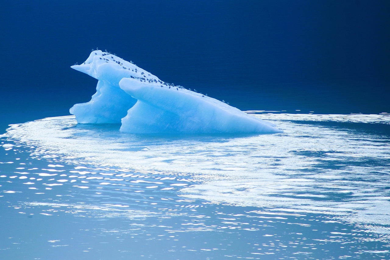 Océan et climat : un dialogue vital pour notre planète