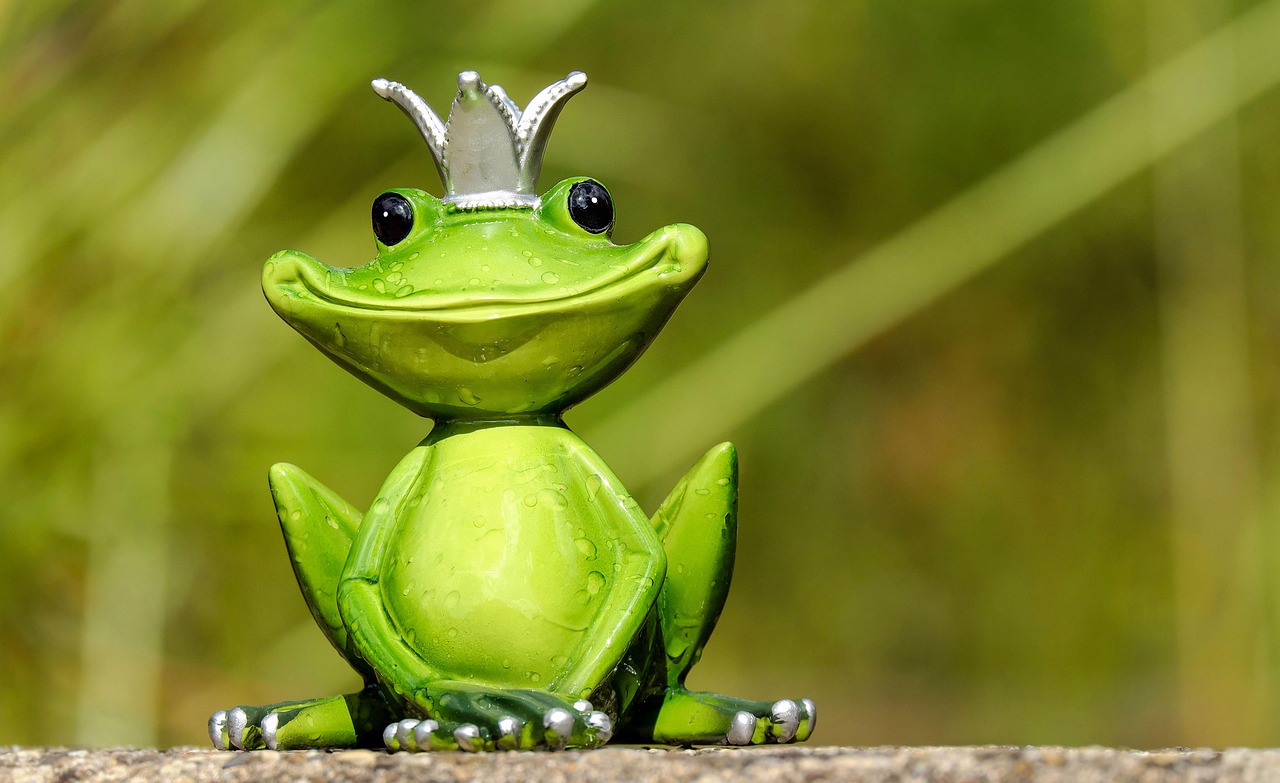 Découvrez Fréquence Grenouille ce samedi à Savigny-en-Véron : ambiance et surprises au rendez-vous !
