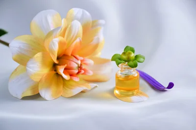 Découvrez l'huile essentielle miracle contre l'eczéma en 2026