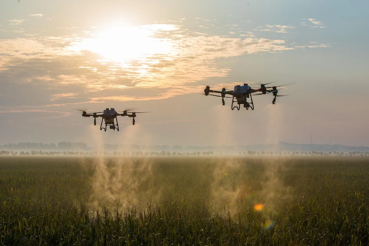 Intelligence artificielle : et si l’analyse des données sur les sols, l’eau, le climat et les rendements révolutionnait l’agriculture ?
