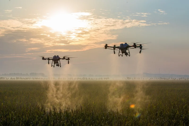 Intelligence artificielle : et si l’analyse des données sur les sols, l’eau, le climat et les rendements révolutionnait l’agriculture ?