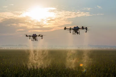 Intelligence artificielle : et si l’analyse des données sur les sols, l’eau, le climat et les rendements révolutionnait l’agriculture ?