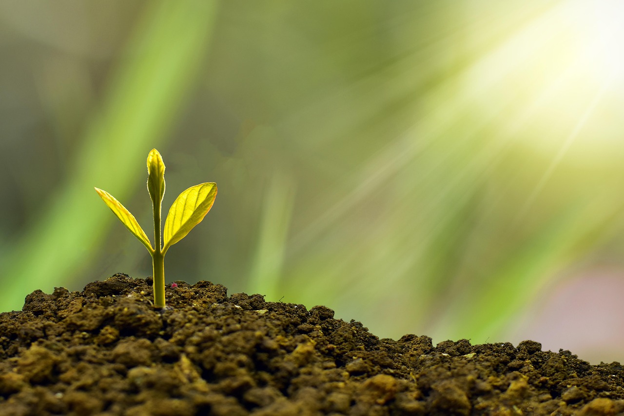 Réduire, réutiliser, recycler : 5 stratégies pour un mode de vie plus durable