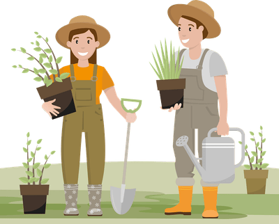 « Plante ton slip » : quand l’Ademe ravive sans le savoir une tradition vieille de plus de mille ans