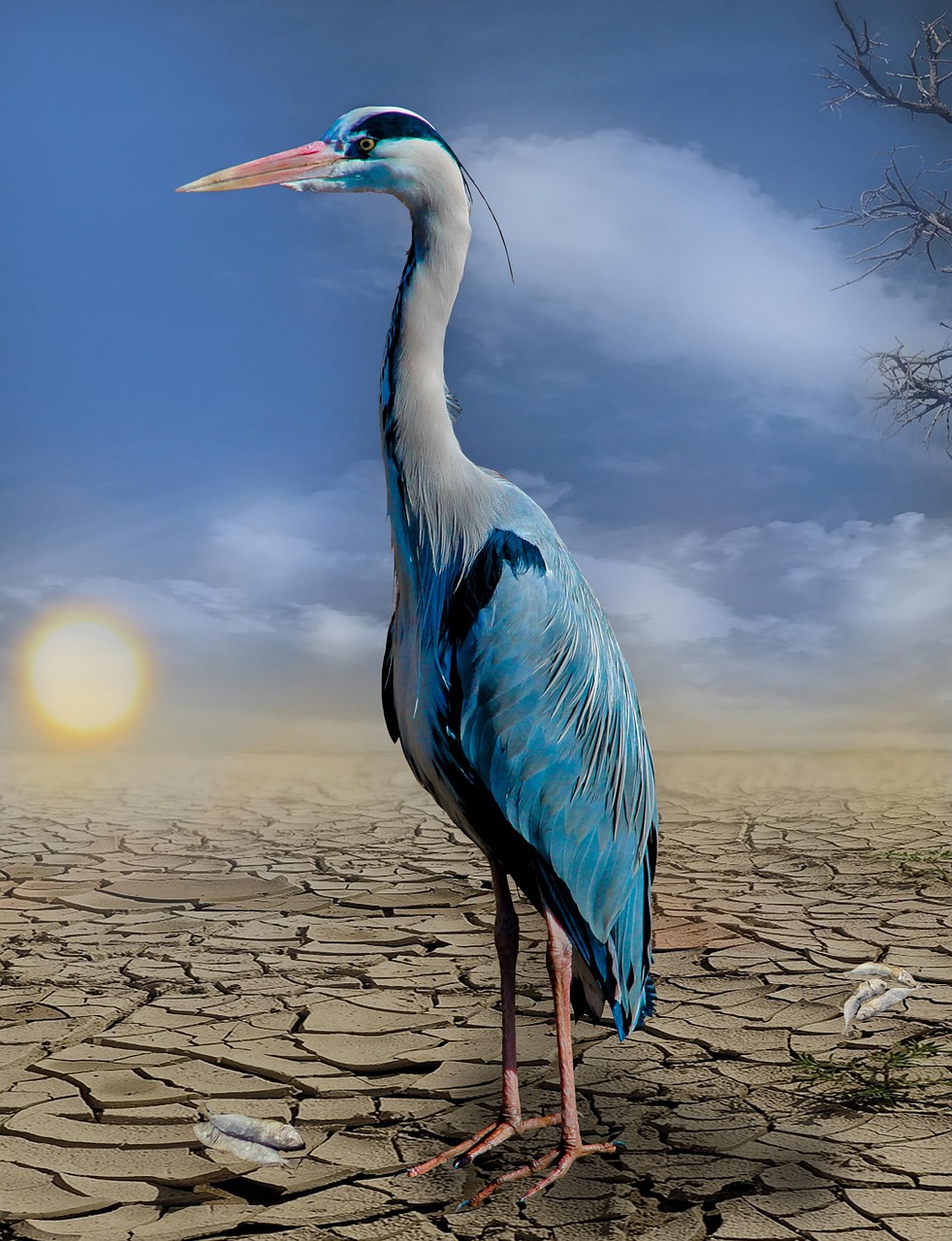 Le Canada consacre plus de 14,4 millions de dollars pour encourager les jeunes à agir contre les changements climatiques et promouvoir un environnement sain.