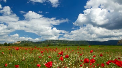Saint-Philbert-de-Grand-Lieu : Initier les collégiens à la sensibilisation sur les tabous liés aux menstruations