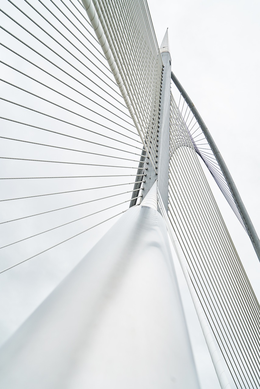 Les infrastructures vertes : un atout pour les villes durables