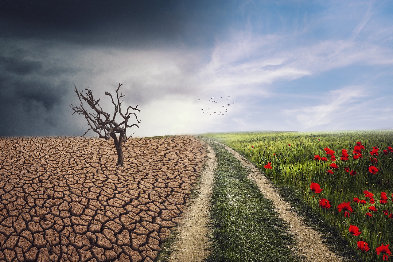 Comment les entreprises peuvent-elles contribuer à la lutte contre le changement climatique ?