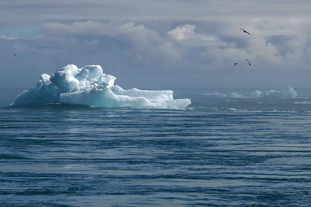 Une transformation inévitable : l’impact amplifié du réchauffement climatique sur les catastrophes naturelles en 2024