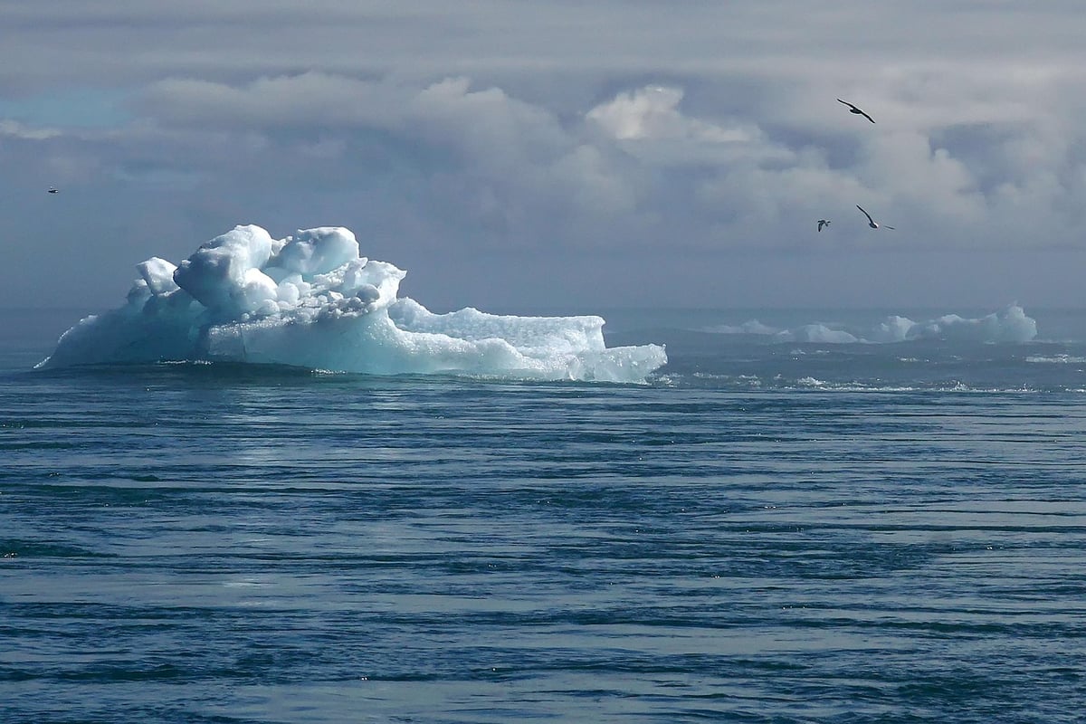 Guide essentiel des ressources pour comprendre et agir face au changement climatique