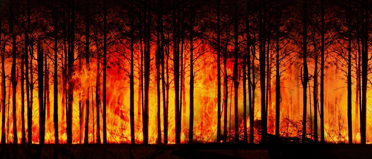 Sans sanctions, l’écologie risque de faillir face au défi du réchauffement climatique