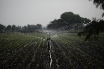 L’Occitanie s’engage au sein d’une nouvelle Alliance européenne pour la gestion durable de l’eau