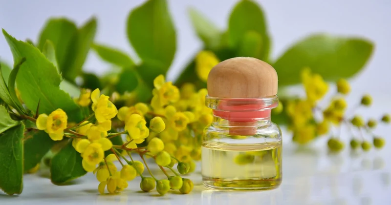 Et l'huile essentielle, la wax flower a-t-elle des usages cosmétiques ?