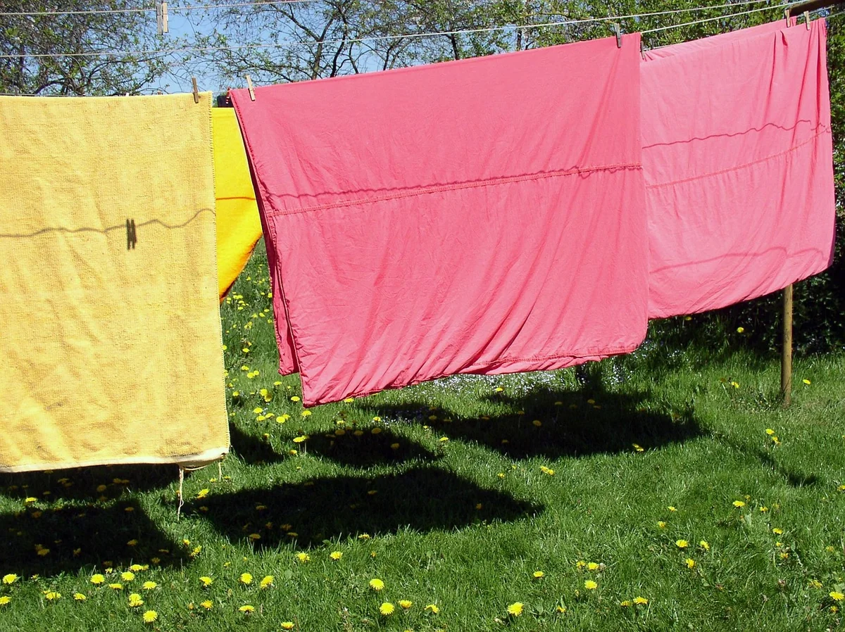 Le protocole en 6 étapes pour un lavage réussi