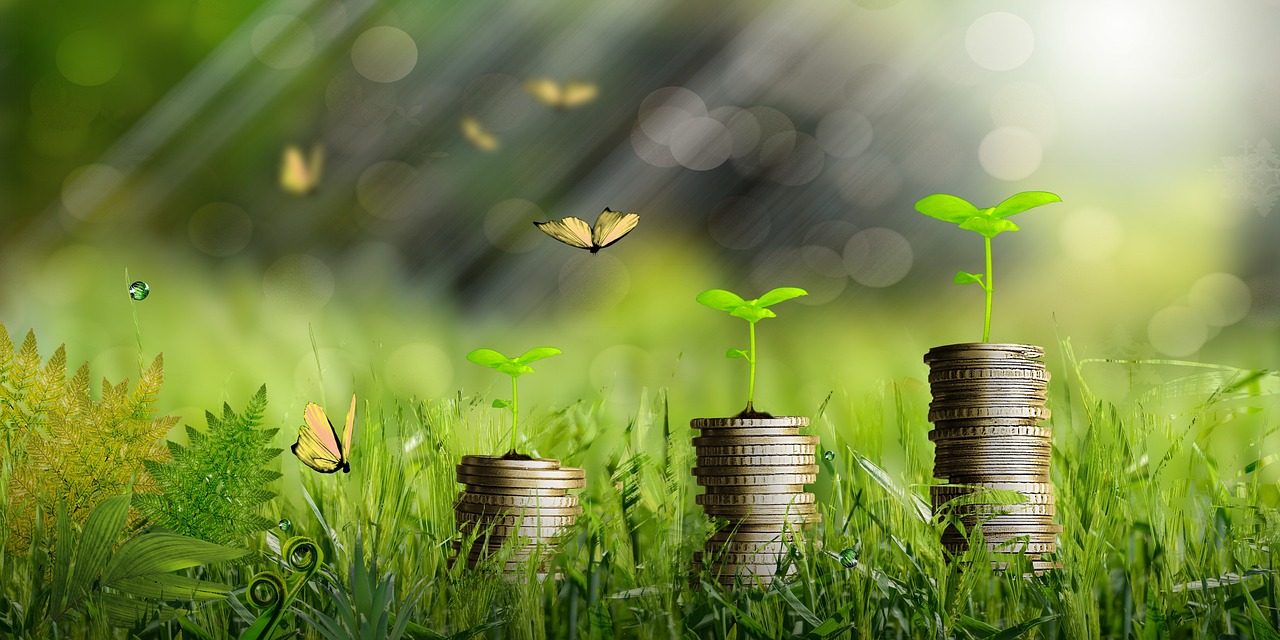 L’importance de l’économie verte pour un avenir durable