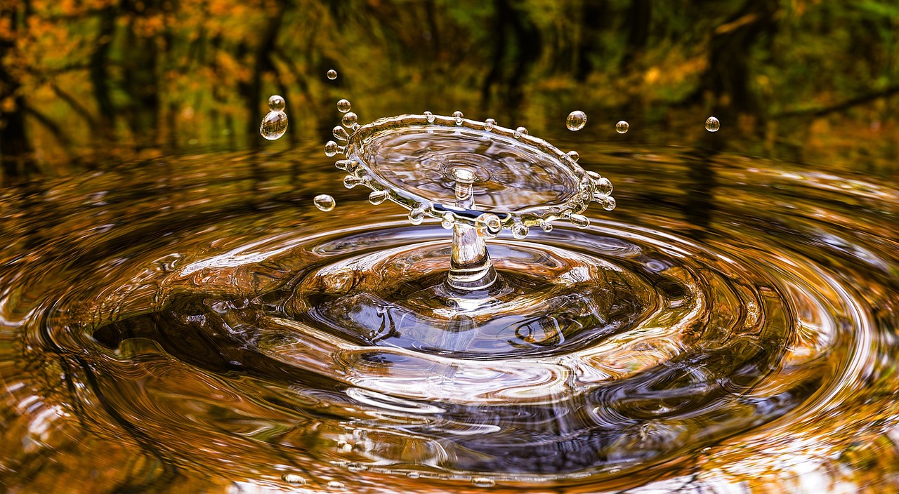 Économie circulaire : comprendre les enjeux et les avantages pour un développement durable