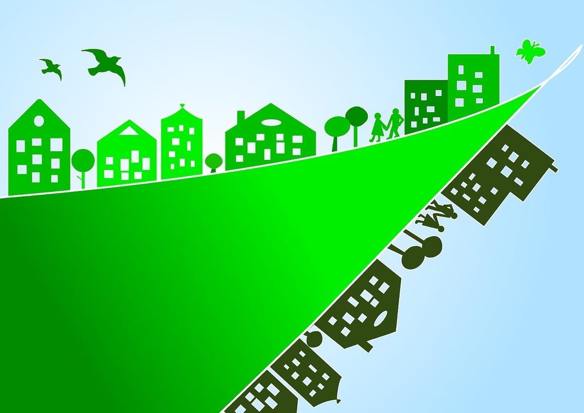 Dans la Manche, l’association Vivre en Cotentin célèbre 40 ans d’engagement à travers ses ateliers et actions de sensibilisation à l’environnement