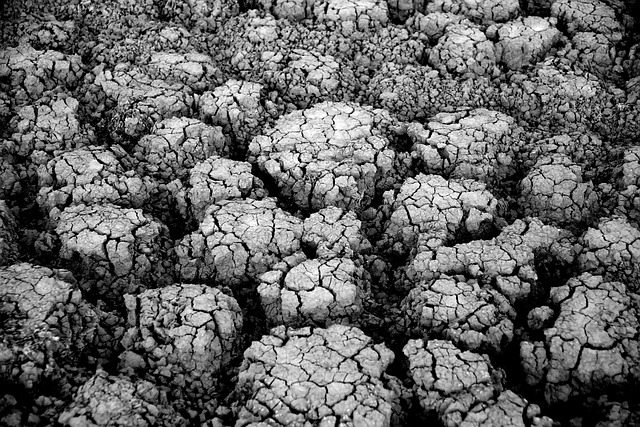 Lancement de la deuxième édition des Étoiles de l’environnement et du climat : soumettez vos candidatures dès maintenant !