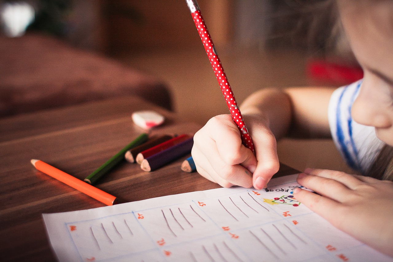 L’éducation, clé essentielle de la transition climatique