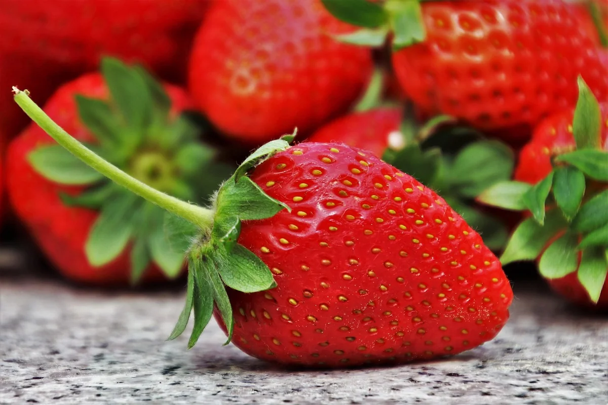 Nutrition et bien-être : le gouvernement dévoile sa nouvelle stratégie pour l’avenir