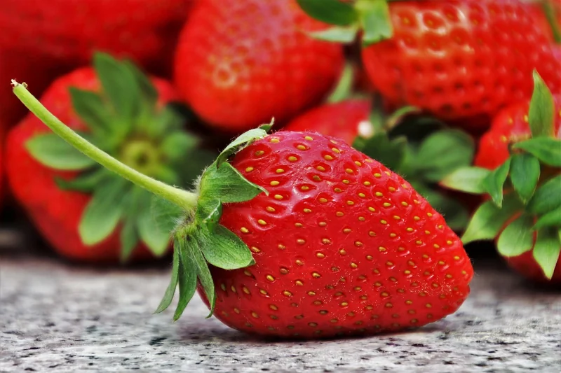 Nutrition et bien-être : le gouvernement dévoile sa nouvelle stratégie pour l’avenir