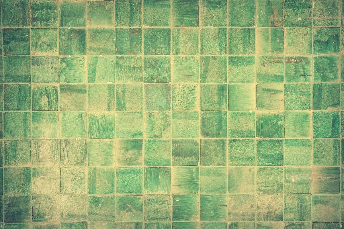 Tout savoir sur le mur végétal : avantages et installation