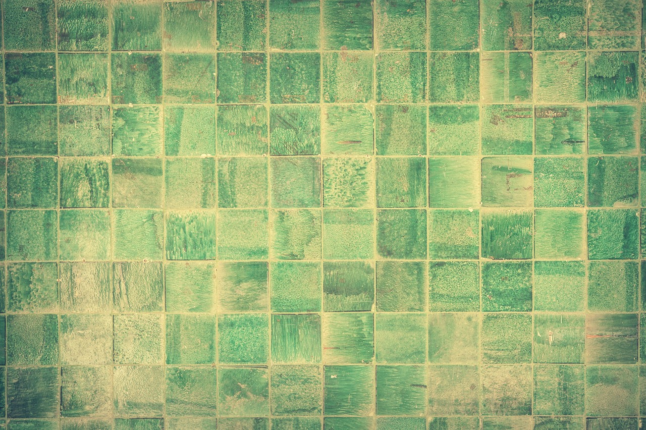 Tout savoir sur le mur végétal : avantages et installation