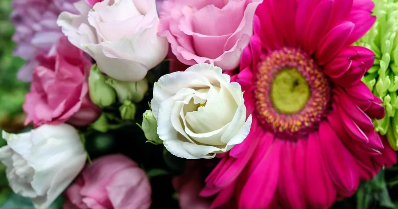 Que signifie vraiment un lisianthus blanc dans un bouquet ?