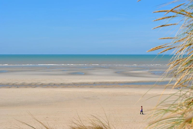 Climat : une « marée verte » s’étend rapidement vers le nord et l’est de la planète