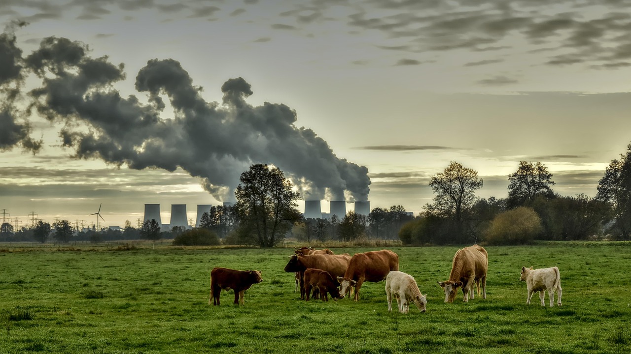 ODD13 : Agir sans délai pour combattre le changement climatique et ses impacts