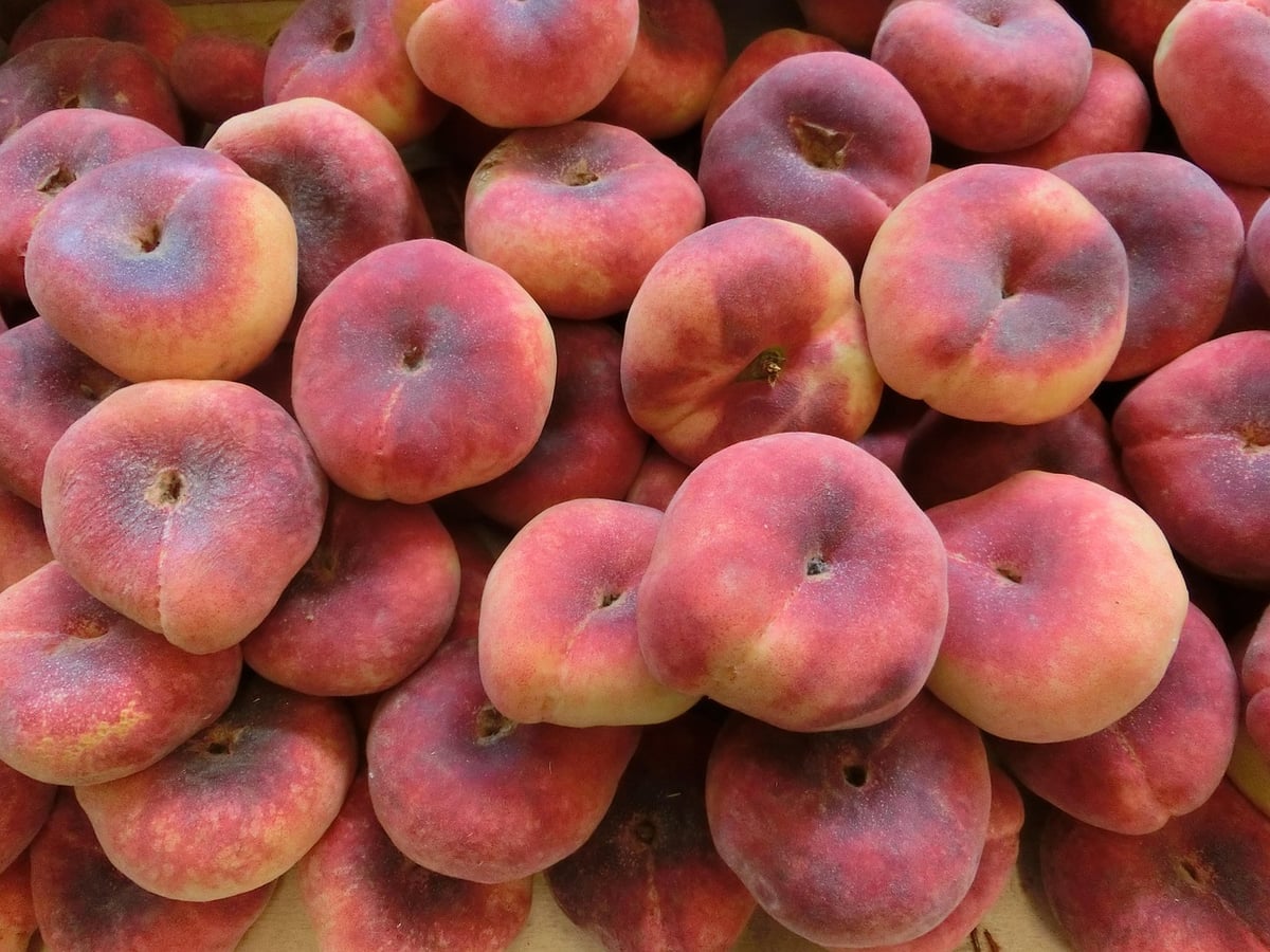 Ce détail souvent ignoré sur les fruits et légumes bio pourrait bien avoir autant d’importance que leur certification elle-même…