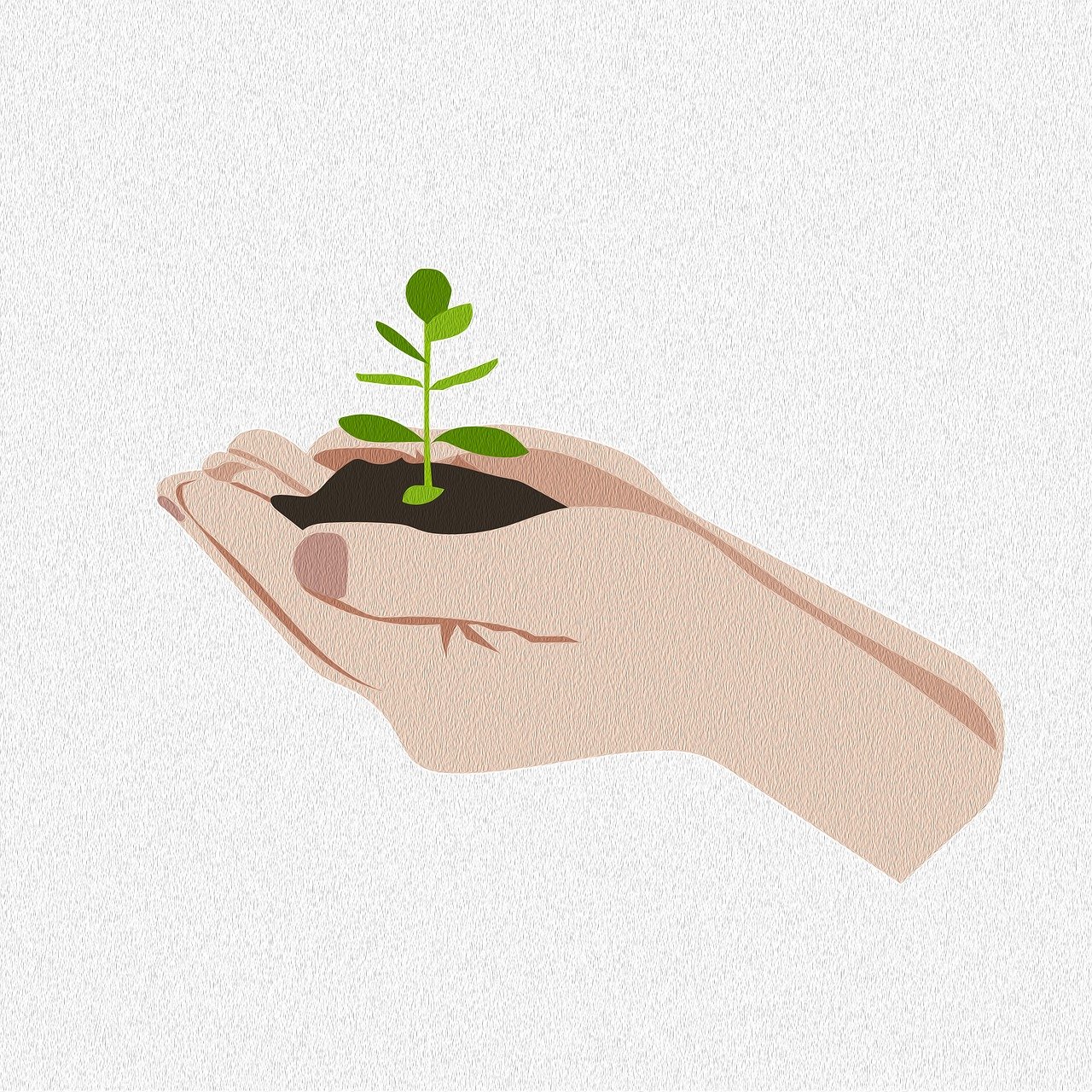 Protection des sols : Importance et méthodes pour préserver notre environnement