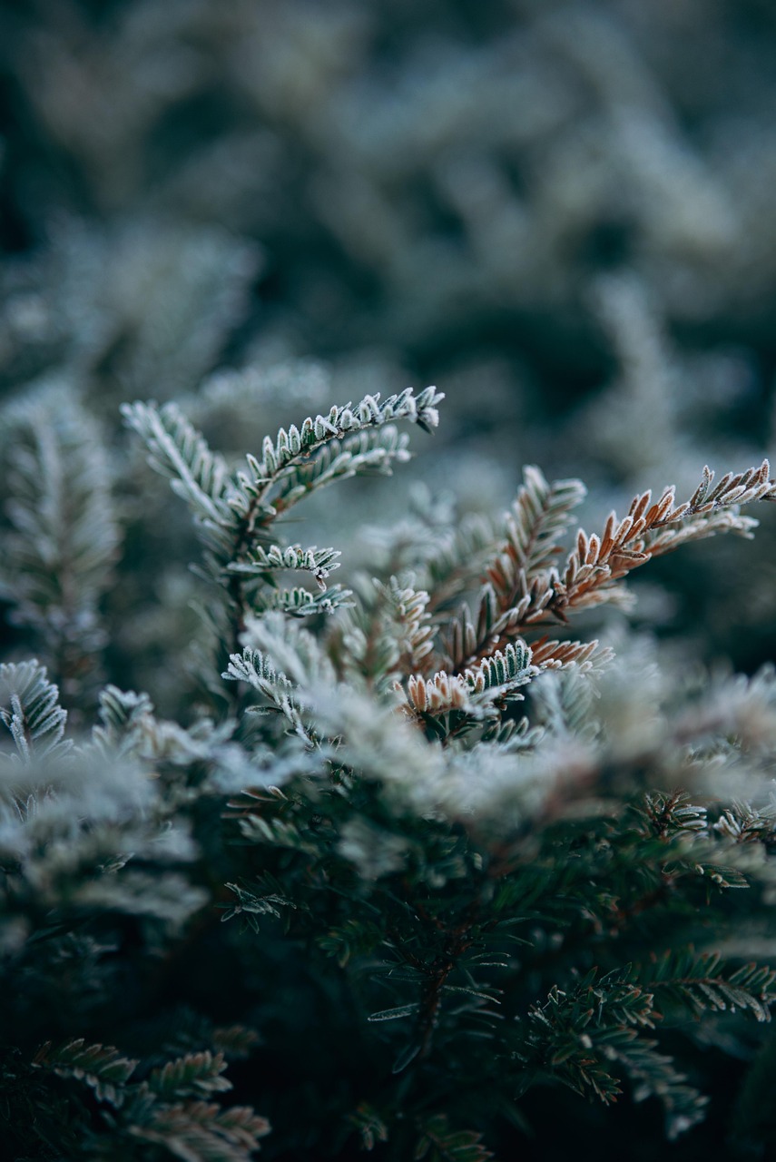 Comprendre les enjeux des formations sur la RSE, le climat et la biodiversité