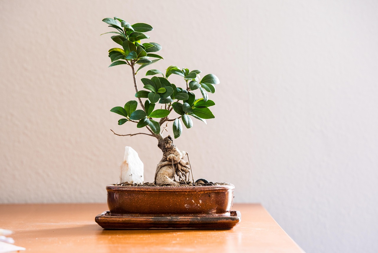 Meilleures pratiques environnementales : Comment adopter un mode de vie durable