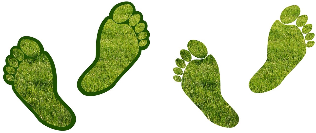 Comprendre le bilan carbone : enjeux et solutions pour réduire son impact environnemental