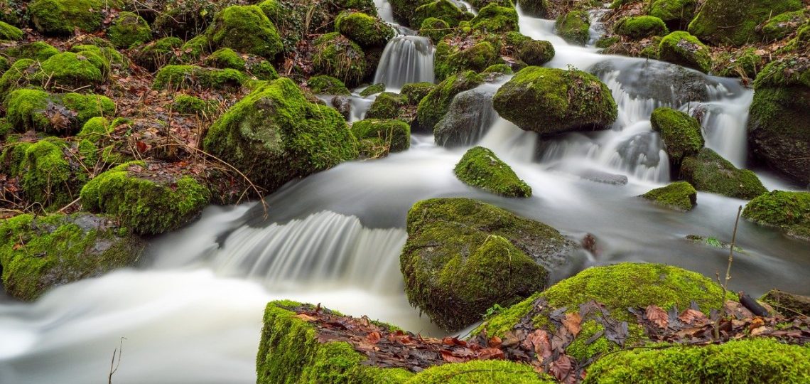 découvrez l'importance vitale de l'eau, ses bienfaits pour la santé, les différentes sources et la protection de cette ressource précieuse. apprenez à mieux gérer votre consommation d'eau pour un avenir durable.