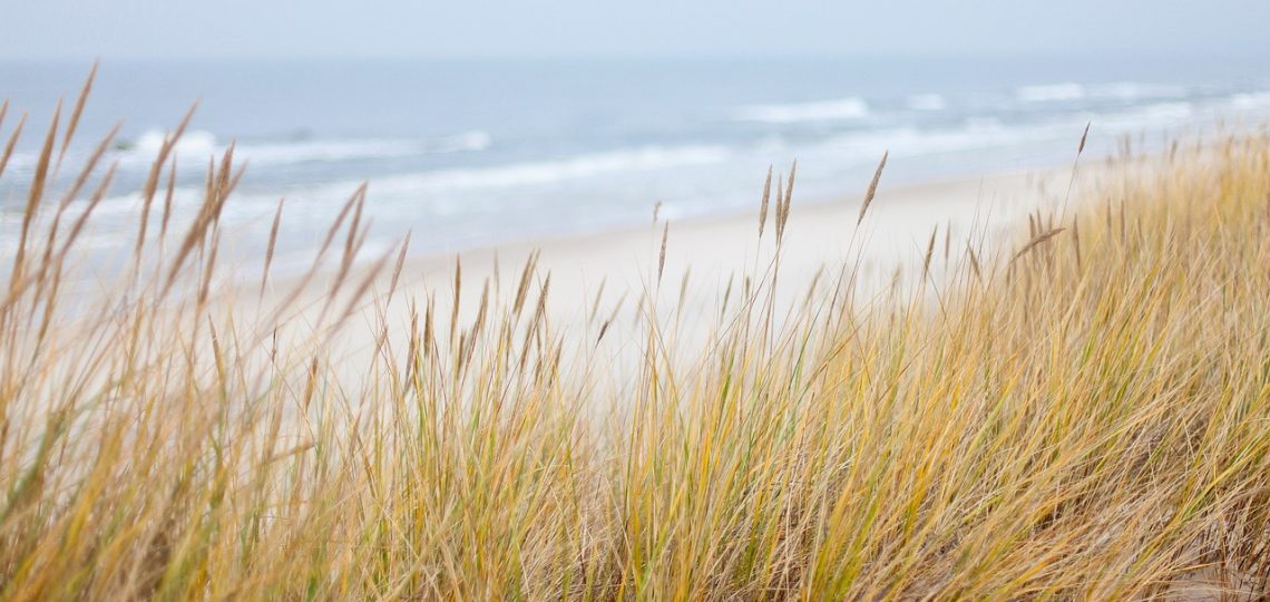 découvrez la beauté des côtes avec notre exploration des paysages côtiers, des plages dorées aux falaises majestueuses. plongez dans l'univers marin et laissez-vous inspirer par la richesse naturelle et culturelle des zones côtières.