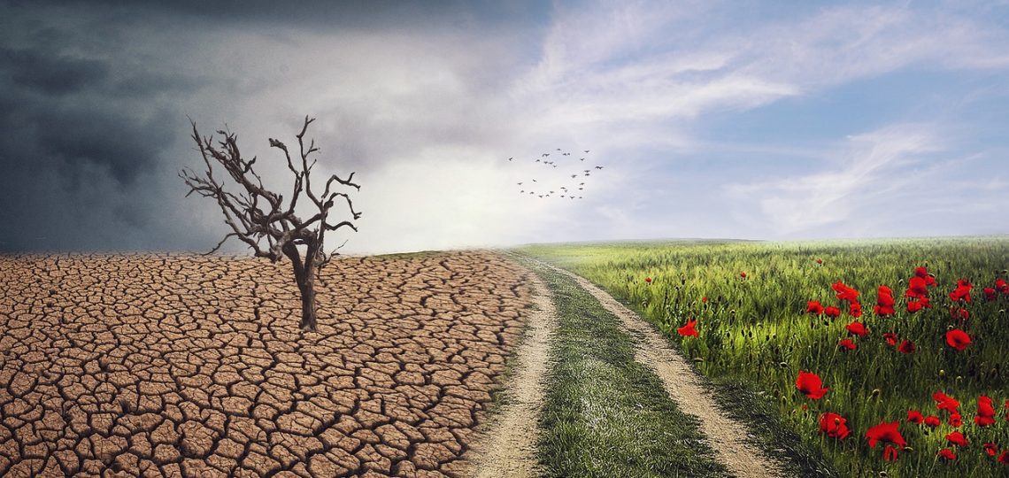 découvrez l'impact du changement climatique sur notre planète, les causes sous-jacentes, et les solutions pour un avenir durable. engagez-vous pour un monde meilleur face à cette crise environnementale.