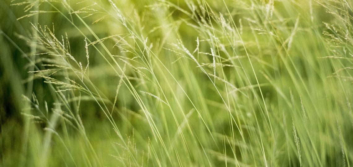 découvrez l'importance de l'éducation environnementale pour sensibiliser les générations futures à la protection de notre planète. apprenez des méthodes et stratégies pour intégrer la durabilité dans l'enseignement et encourager un comportement respectueux de l'environnement.