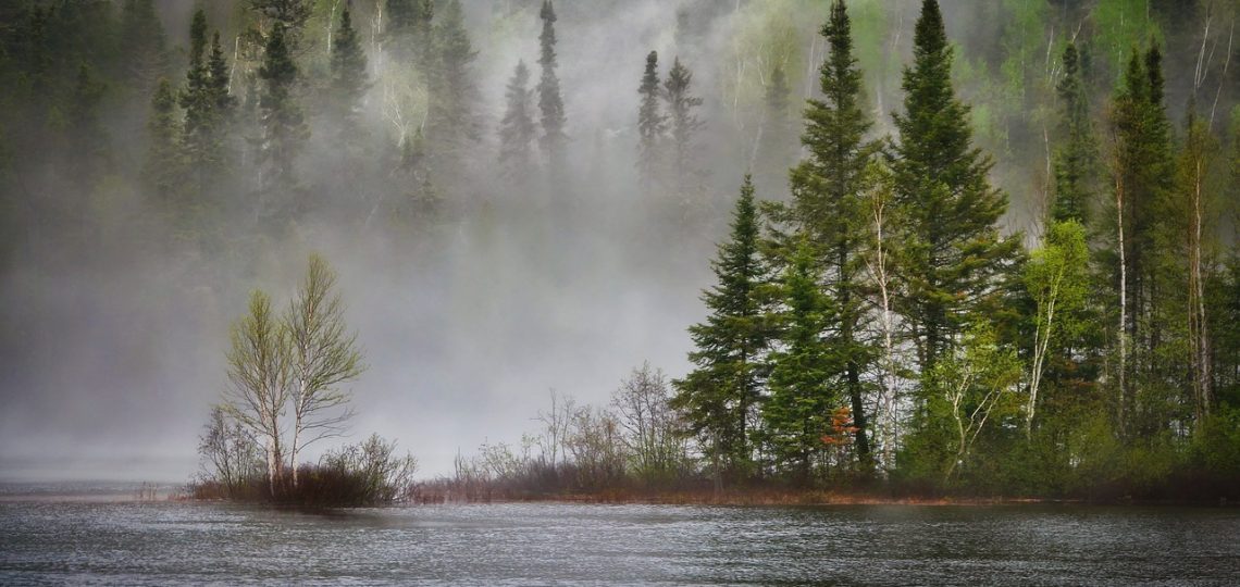 découvrez les tendances climatiques actuelles, analysez leurs impacts sur notre planète et explorez des solutions pour un avenir durable. restez informé sur les changements environnementaux majeurs et leurs conséquences sur nos vies.