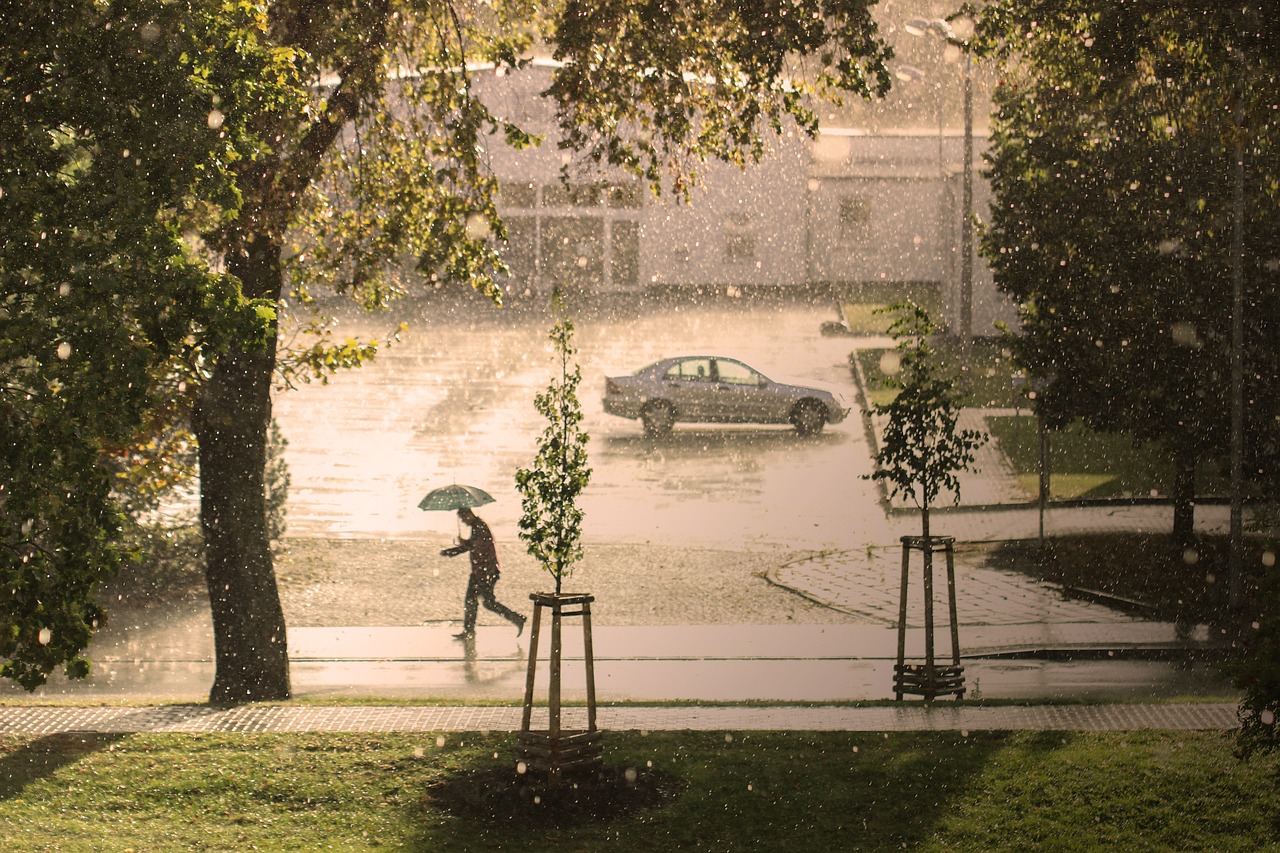 découvrez l'impact du changement climatique sur notre planète, les enjeux environnementaux actuels et les solutions durables pour un avenir meilleur.