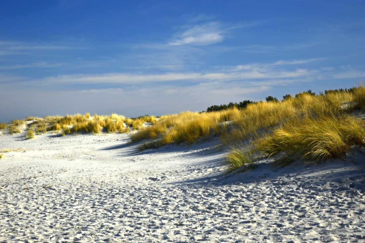 découvrez l'univers côtier avec notre guide dédié aux plages, paysages marins et activités en bord de mer. explorez les plus belles destinations côtières et laissez-vous séduire par la beauté des littoraux.